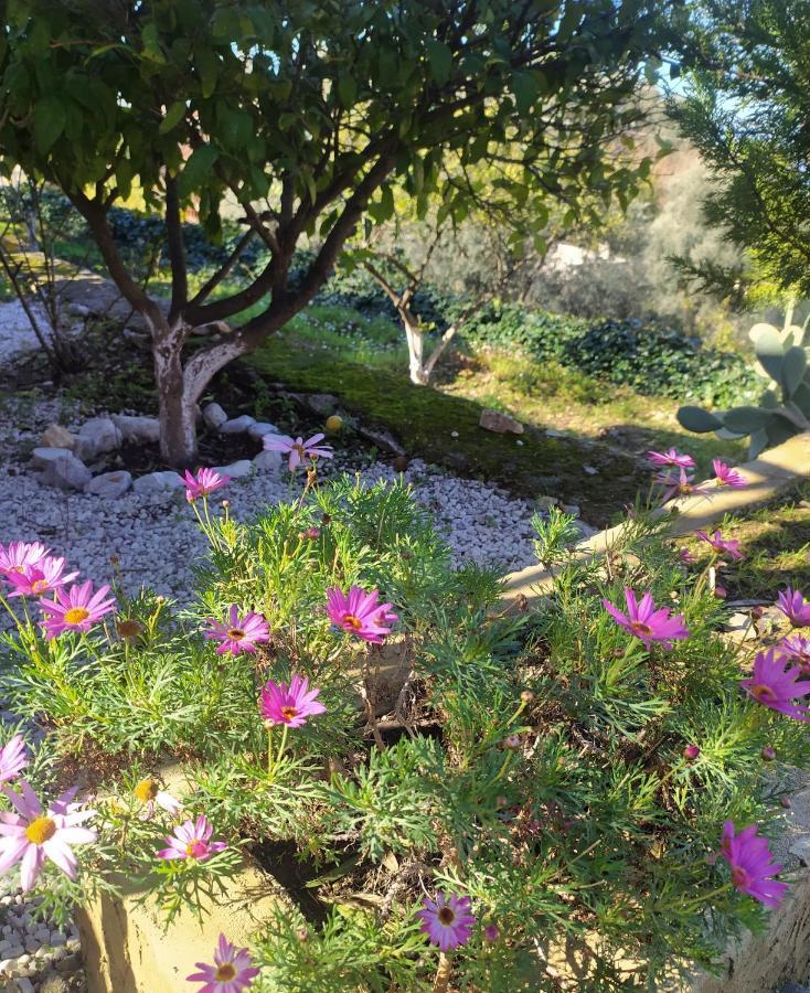 Onur Motel Faralya Fethiye Exterior photo